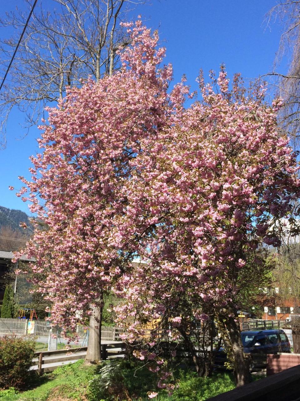Gasthof Zum Stern Oetz Exteriör bild