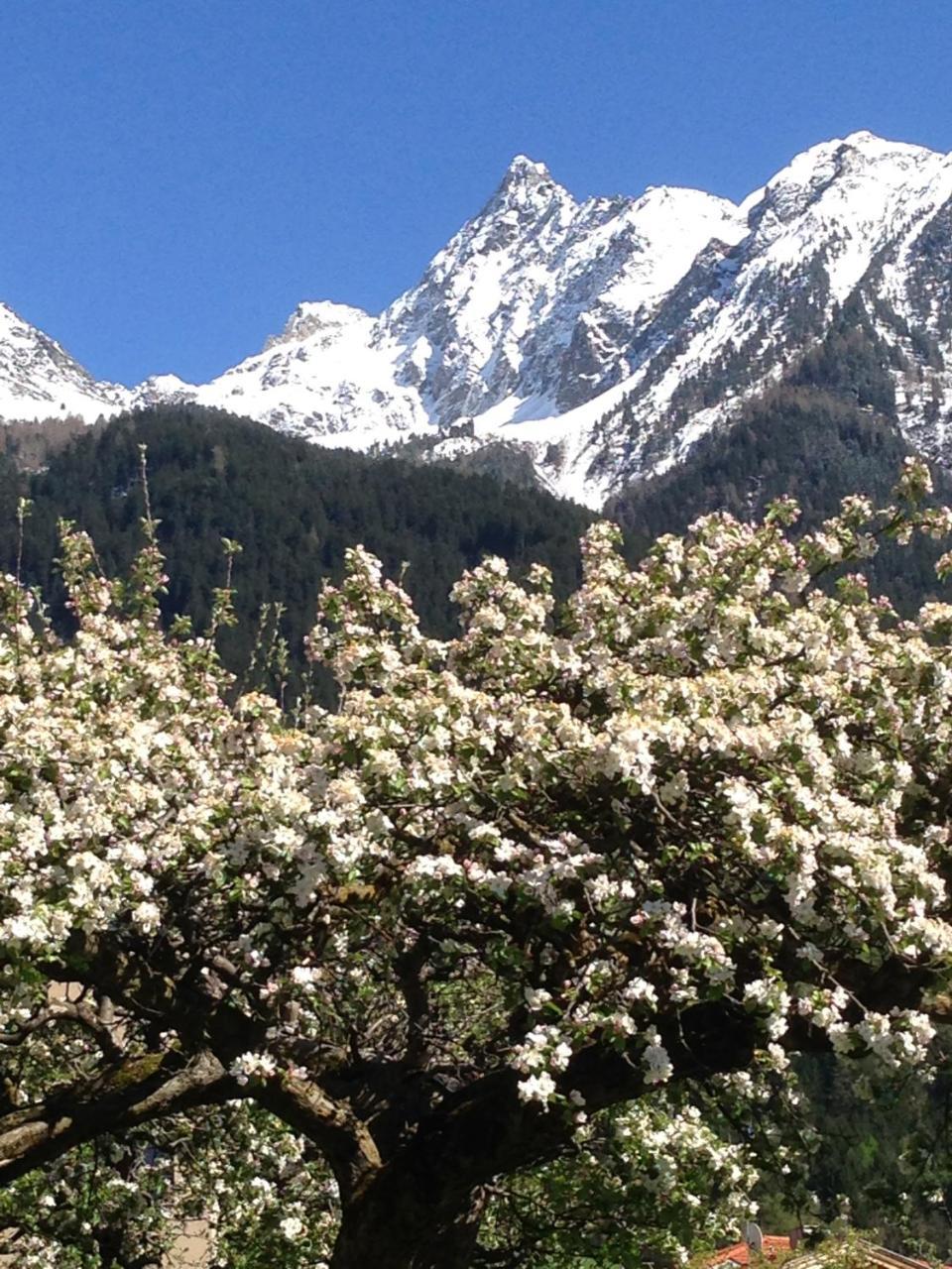 Gasthof Zum Stern Oetz Exteriör bild