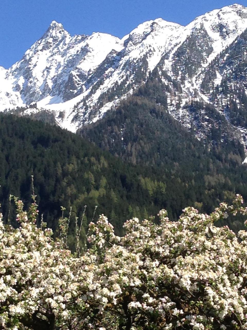 Gasthof Zum Stern Oetz Exteriör bild